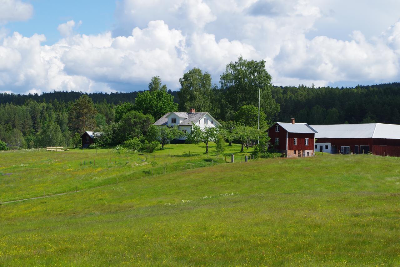 The Sheep Inn B&B Prasthog Zewnętrze zdjęcie