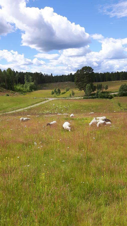 The Sheep Inn B&B Prasthog Zewnętrze zdjęcie